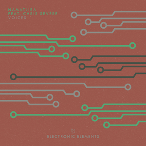 Voices (Extended This Mix)