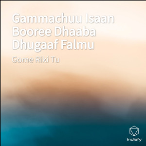 Gammachuu Isaan Booree Dhaaba Dhugaaf Falmu