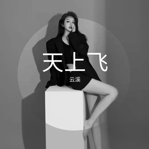 天上飞
