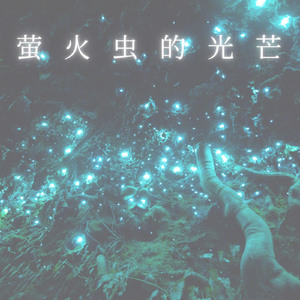 萤火虫的光芒