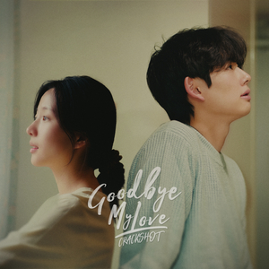 Goodbye My Love
