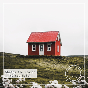 What's the Reason (Disco Edit)