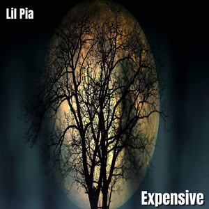Expensive