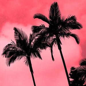 Koki's Rockin' Tropic (feat. A T Beaune)