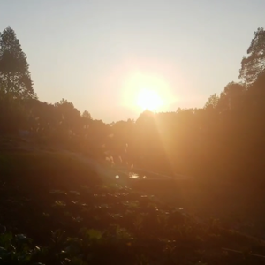 现实与梦(Prod by Eee.T)