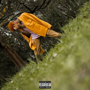 Silverback (Freestyle)