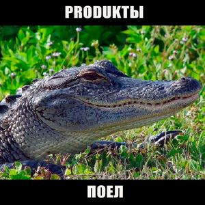 поел
