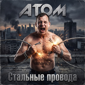 Стальные провода
