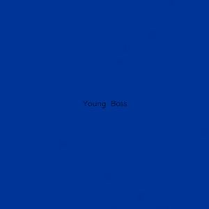 young boss2.0