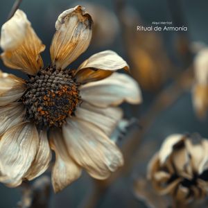 El Silencio que Abraza