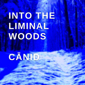 Into the Liminal Woods (Instrumental)