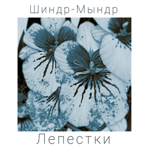 Лепестки