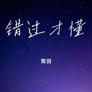 错过才懂