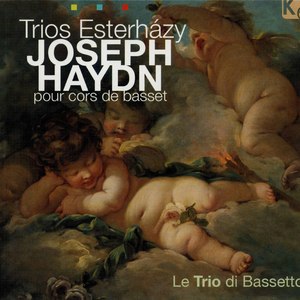 Baryton Trio No. 65 in G Major, Hob. XI:65: II. Menuet - Trio