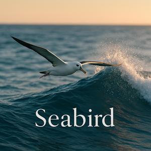 Seabird