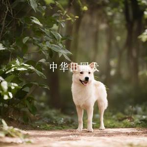 田园犬的曙光
