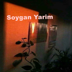 soygvan yarim