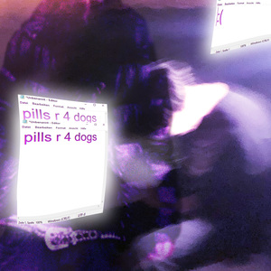 pills r 4 dogs