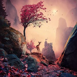 让我欢喜让我忧