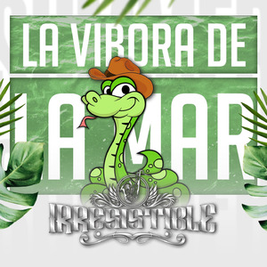 La Vibora De La Mar ( Versión Huapango )