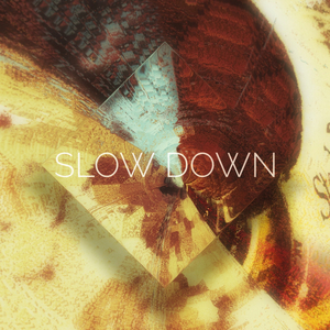 Slow Down