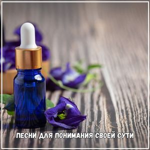 Мелодии, вносящие свет