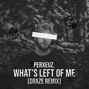 What's Left Of Me (Remix)