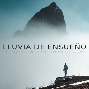 Deja Que La Lluvia Te Absorba