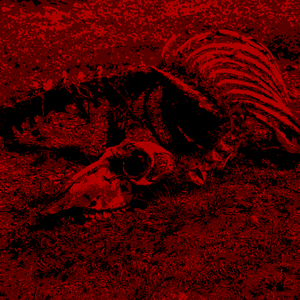 [Free] "NINJA" Memphis Type Beat