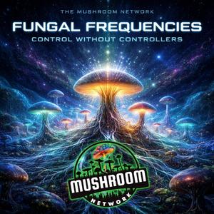 Bassline of the Ancient Trail