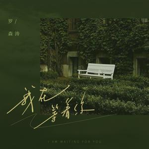 我在等着你