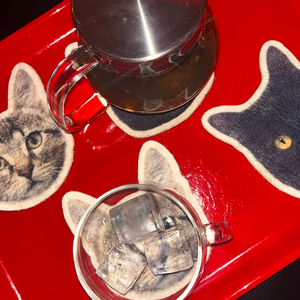 Bestial (Extended MIX)