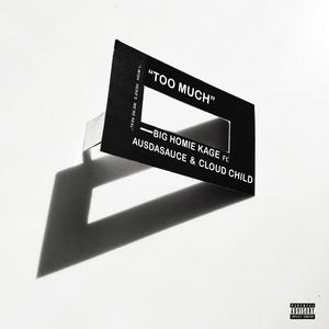 Too Much (feat. Ausdadauce & Cloud Child)