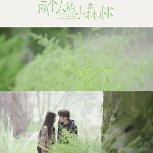 好像都一样 (《两个人的小森林》电视剧片尾曲)