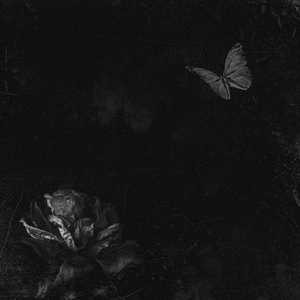 굳이 (Feat. 주상빈)