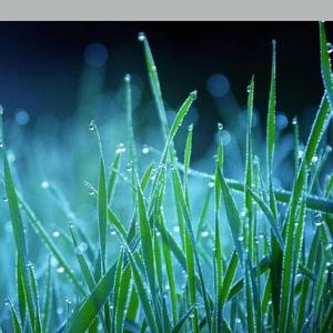 成语故事之自相矛盾