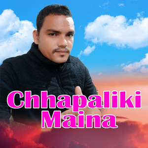 Chhapaliki Maina