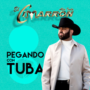 Por Tu Maldito Amor (Norteño)