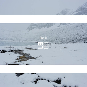 雪白