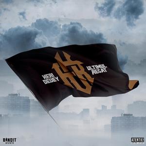 Pentru brigada mea din ceruri (feat. Nimeni Altu')