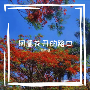 凤凰花开的路口