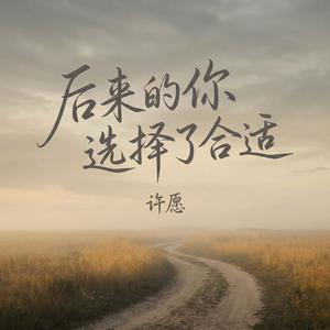 后来的你选择了合适_伴奏