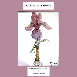 Weeds for Needs/Rusted Open/A Good Burial/The Lay of the Land (Hidden)/Mantis Helper