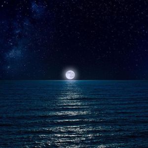 Fantasia Nnder the Moon