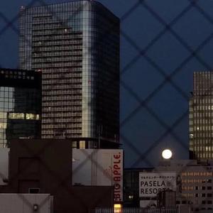 山楂树之恋（抖音片段版）