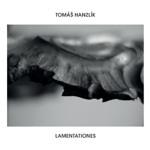 Lamentationes:Jerusalem