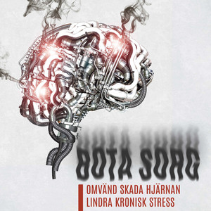 Uppmärksamhet i sinnet