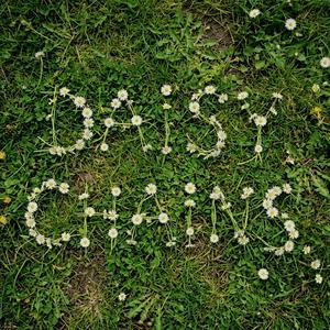 Daisy Chains