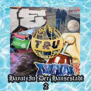 geopfert(sped up) (feat. hütte)