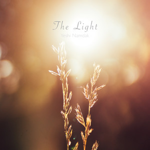 The Light